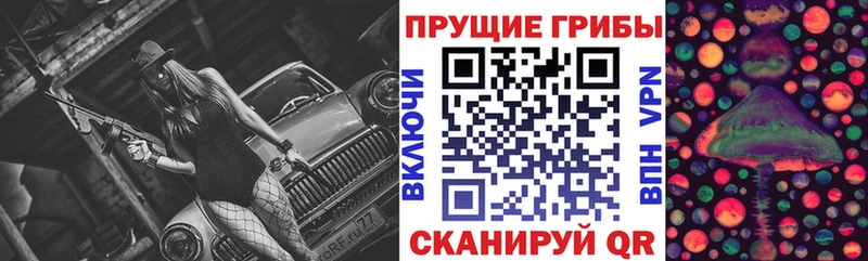 наркотики  Чекалин  Галлюциногенные грибы Psilocybine cubensis 